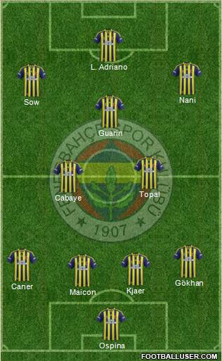 Fenerbahçe SK Formation 2015