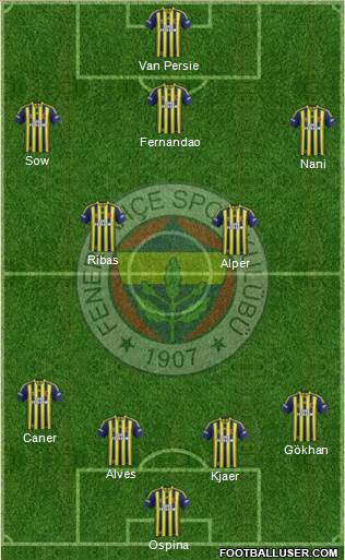 Fenerbahçe SK Formation 2015