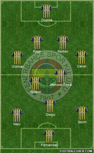 Fenerbahçe SK Formation 2015