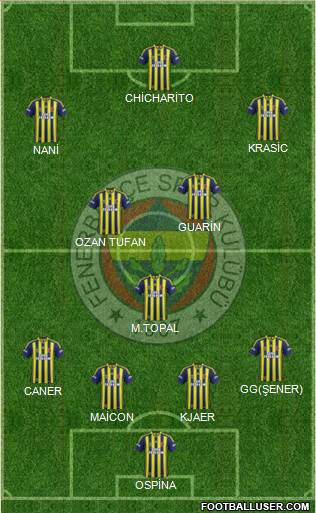 Fenerbahçe SK Formation 2015