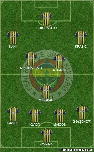 Fenerbahçe SK Formation 2015
