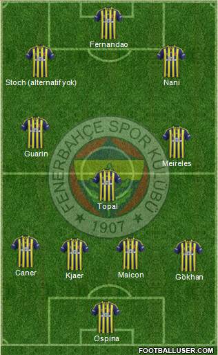 Fenerbahçe SK Formation 2015