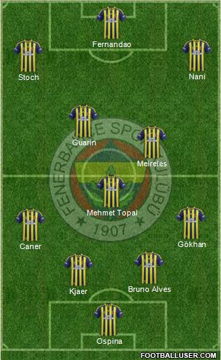 Fenerbahçe SK Formation 2015