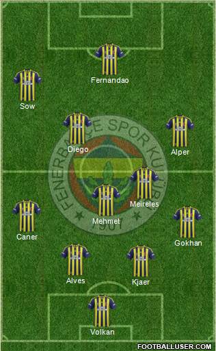 Fenerbahçe SK Formation 2015