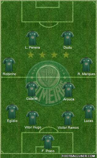 SE Palmeiras Formation 2015