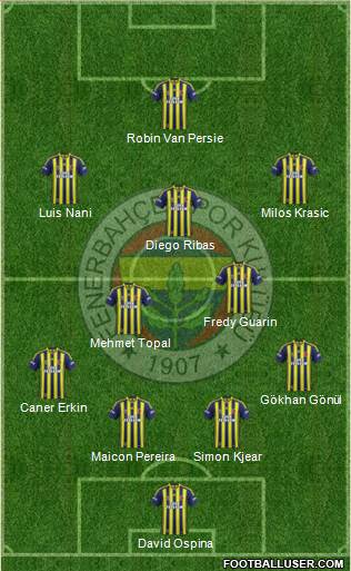Fenerbahçe SK Formation 2015