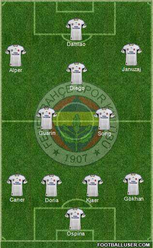 Fenerbahçe SK Formation 2015
