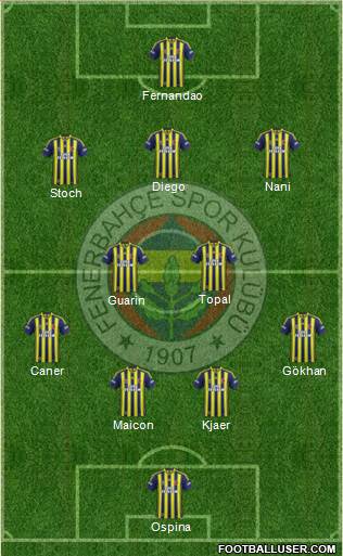 Fenerbahçe SK Formation 2015