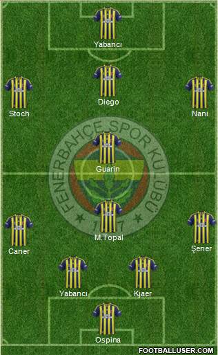 Fenerbahçe SK Formation 2015