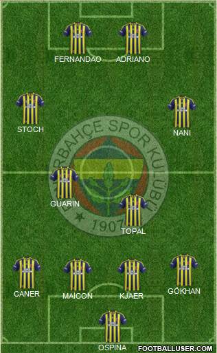 Fenerbahçe SK Formation 2015