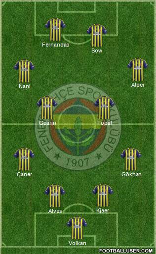 Fenerbahçe SK Formation 2015