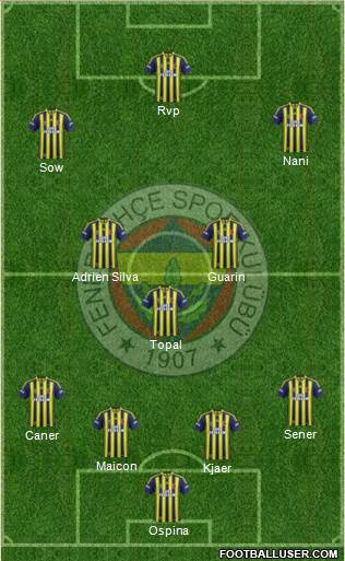 Fenerbahçe SK Formation 2015
