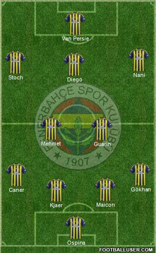 Fenerbahçe SK Formation 2015