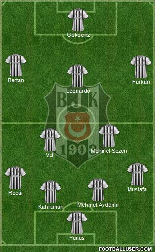 Besiktas JK Formation 2015