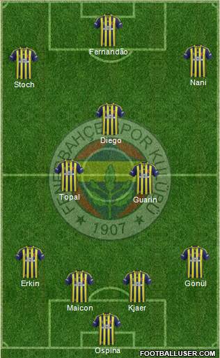 Fenerbahçe SK Formation 2015
