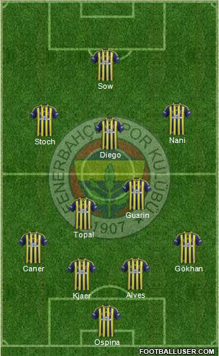 Fenerbahçe SK Formation 2015