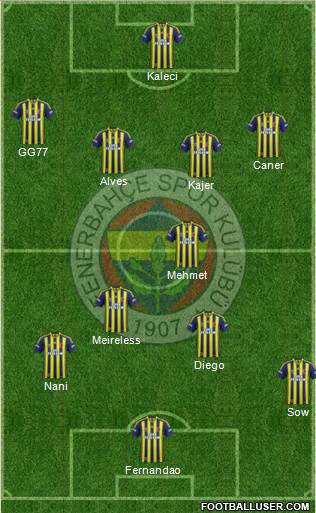Fenerbahçe SK Formation 2015