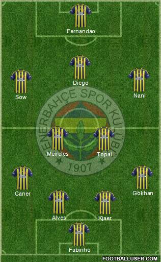 Fenerbahçe SK Formation 2015