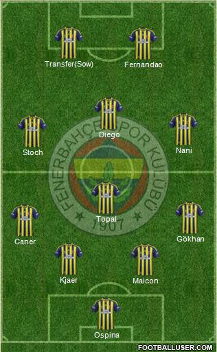 Fenerbahçe SK Formation 2015
