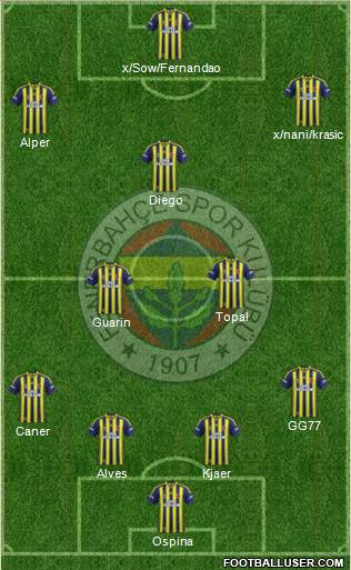 Fenerbahçe SK Formation 2015