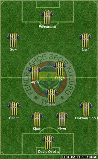 Fenerbahçe SK Formation 2015