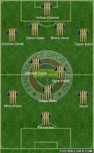 Fenerbahçe SK Formation 2015