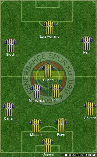 Fenerbahçe SK Formation 2015