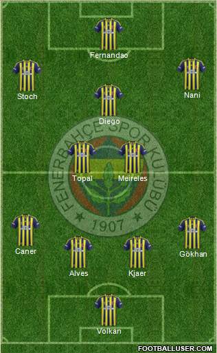 Fenerbahçe SK Formation 2015