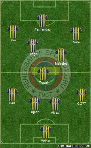 Fenerbahçe SK Formation 2015