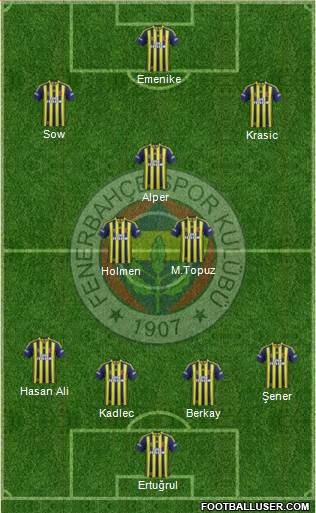 Fenerbahçe SK Formation 2015