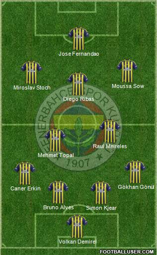 Fenerbahçe SK Formation 2015