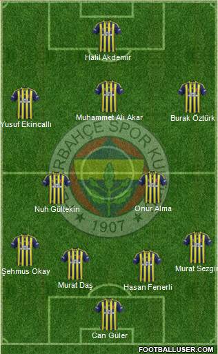 Fenerbahçe SK Formation 2015
