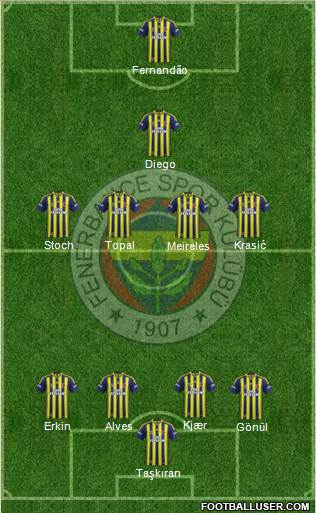 Fenerbahçe SK Formation 2015