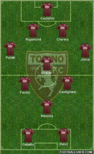 Torino Formation 2015