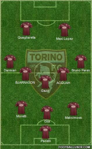 Torino Formation 2015
