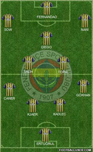 Fenerbahçe SK Formation 2015