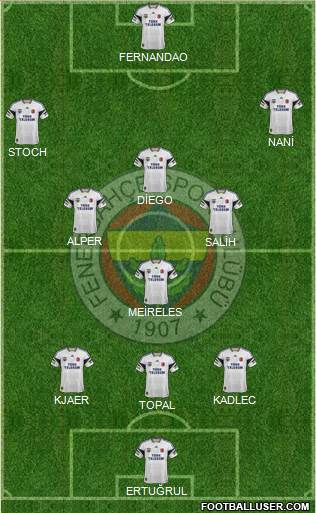 Fenerbahçe SK Formation 2015