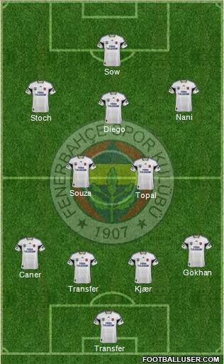 Fenerbahçe SK Formation 2015