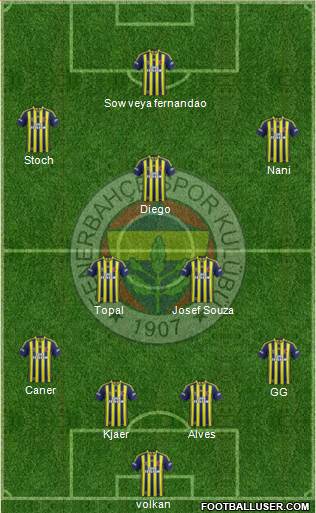 Fenerbahçe SK Formation 2015