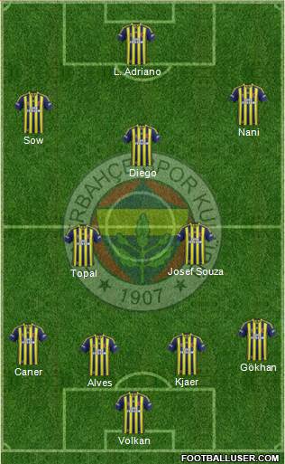 Fenerbahçe SK Formation 2015