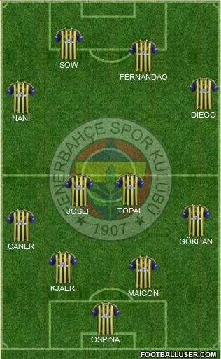 Fenerbahçe SK Formation 2015