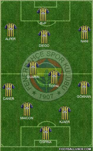 Fenerbahçe SK Formation 2015