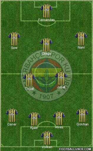 Fenerbahçe SK Formation 2015
