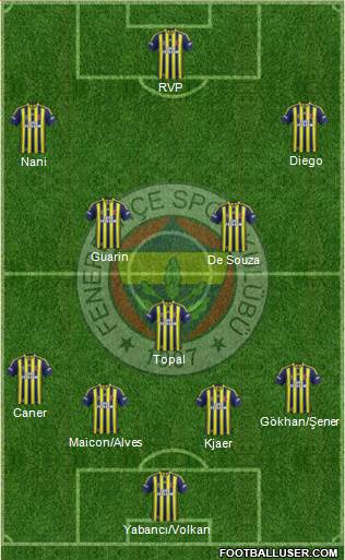 Fenerbahçe SK Formation 2015