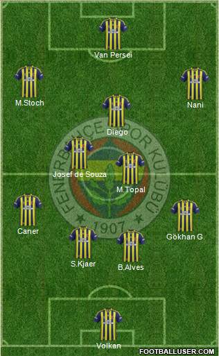 Fenerbahçe SK Formation 2015