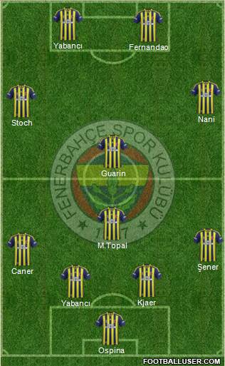 Fenerbahçe SK Formation 2015