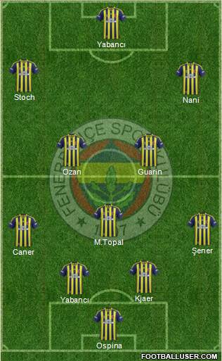 Fenerbahçe SK Formation 2015