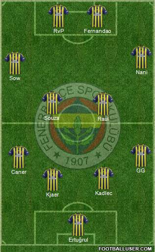 Fenerbahçe SK Formation 2015