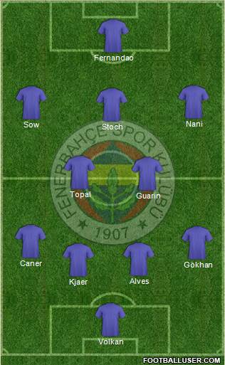 Fenerbahçe SK Formation 2015