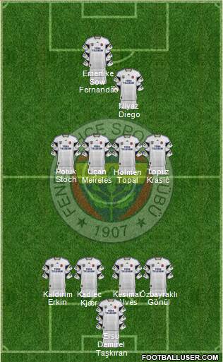 Fenerbahçe SK Formation 2015